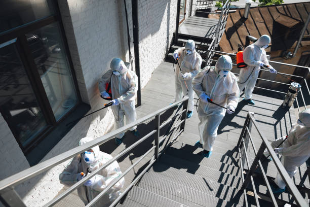 Best Mold Odor Removal Services  in Parker, AZ