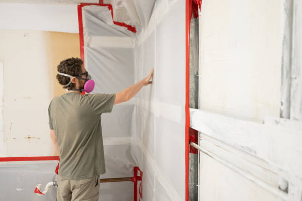 Best Emergency Mold Remediation  in Parker, AZ