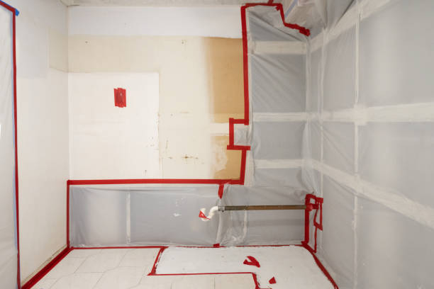 Best Post-Remediation Verification Testing  in Parker, AZ