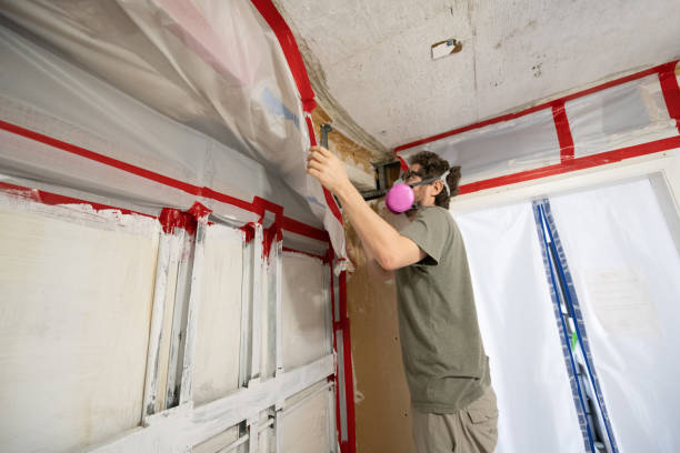 Best Environmental Consulting for Mold Prevention  in Parker, AZ