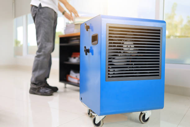 Best Real Estate Mold Inspection  in Parker, AZ