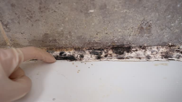 Best Indoor Air Quality Assessment  in Parker, AZ